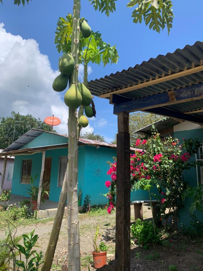 Alba House Villa Puerto Jimenez Ngoại thất bức ảnh