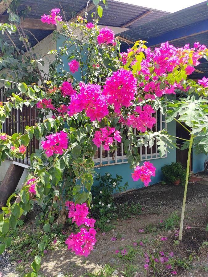 Alba House Villa Puerto Jimenez Ngoại thất bức ảnh